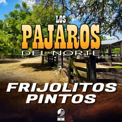 Frijolitos Pintos