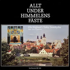 Allt under himmelens fäste