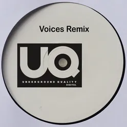 Voices DJ Jus-Ed Remix