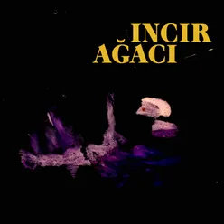 Incir Ağacı