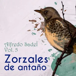 Zorzales de Antaños / Alfredo Sadel Vol. 5