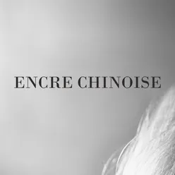 Encre chinoise