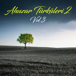 Ahuzar Türküleri 2 Vol.3