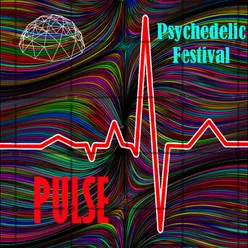 Psychedelic Festival