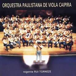 Orquestra Paulistana de Viola Caipira