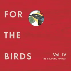 Wild Birds in an Imagined Canoga Park with Lakes and Trees in Place of Streets and Buildings