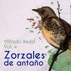 Zorzales de Antaño, Vol. 4: Alfredo Sadel