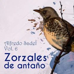 Zorzales de Antaño, Vol. 6: Alfredo Sadel