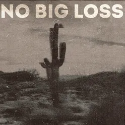 No Big Loss