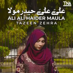 Ali Ali Haider Maula - Single