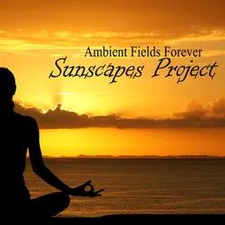 Ambient Fields Forever