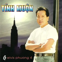 Tình Muộn