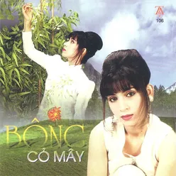 Bông Cỏ May