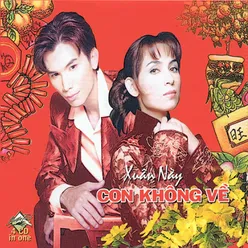 Xuân Này Con Không Về