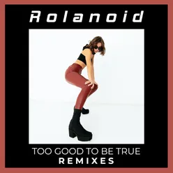 Too Good to Be True Remixes