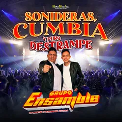 Sonideras, Cumbia y Puro Destrampe