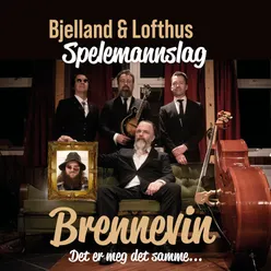 Brennevin - det er meg det samme...