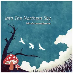 Into The Northern Sky