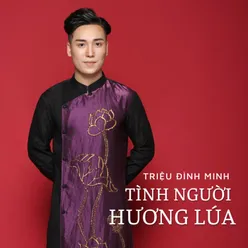 Tình Người Hương Lúa