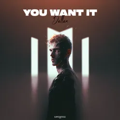 You Want It (Extended Mix)