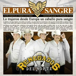 El Pura Sangre