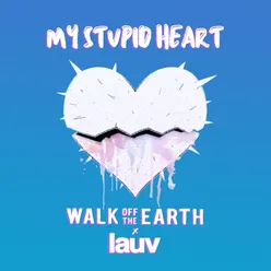 My Stupid Heart (with Lauv)