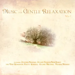 Music for Gentle Relaxation, Vol. 1