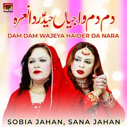 Dam Dam Wajeya Haider Da Nara - Single