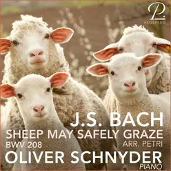 Bach: Cantata, BWV 208: IX. Sheep May Safely Graze (Arr. For Piano by Egon Petri) [Live Recording, Zürich 2012]