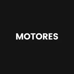 MOTORES