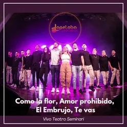 Como la flor / Amor prohibido / El embrujo / Te vas (Vivo Teatro Seminari)