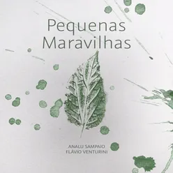 Pequenas Maravilhas