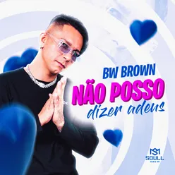 Não Posso Dizer Adeus - Remix