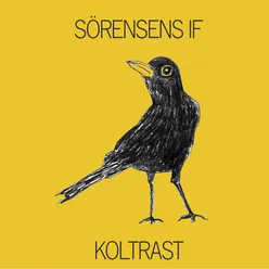 Koltrast