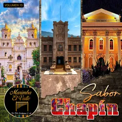 Sabor Chapin, Vol. 15