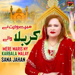 Mere Waris NY Karbala Walay - Single