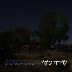 שירה עמי