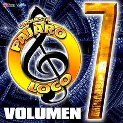 Orquesta Pajaro Loco, Vol. 7