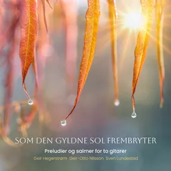 Som den gyldne sol