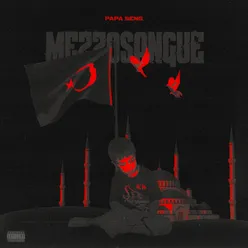 Mezzosangue