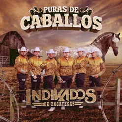 Los Cuatro Gallos de a Caballo