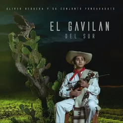 El Gavilán del Sur