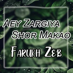 Aey Zargiya Shor Makao