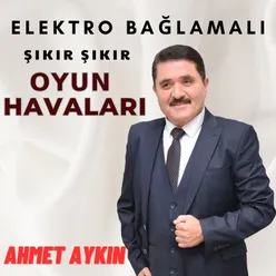 Erik Dalı