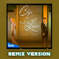 Cần Bao Lâu (Remix Version)