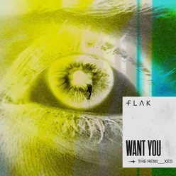 Want You (The Remixes)