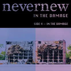 In The Damage