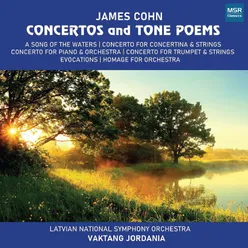 Concerto for Concertina and Strings, Op. 44: II. Romanza
