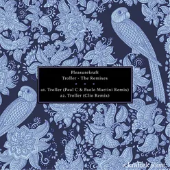 Troller (The Remixes)