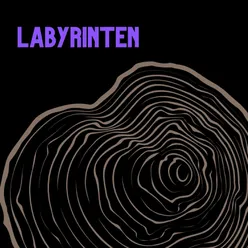 Labyrinten